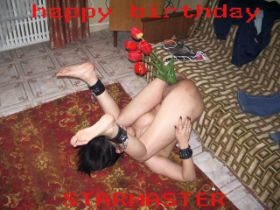tulpen.jpg
