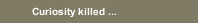 Curiosity killed ...