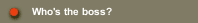 Who's the boss?