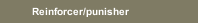 Reinforcer/punisher