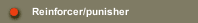 Reinforcer/punisher