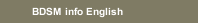 BDSM info English