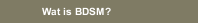 Wat is BDSM?