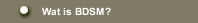 Wat is BDSM?