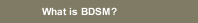 What is BDSM?