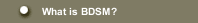 What is BDSM?